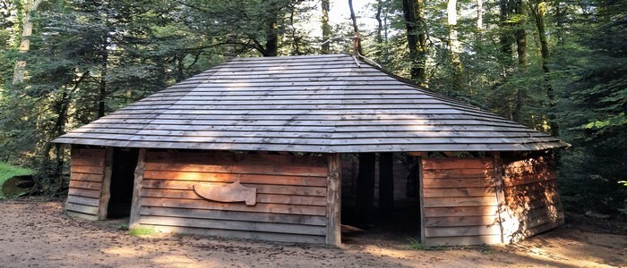En forêt de Beffou, la cabane du sabotier